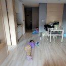 주왕산면 요가 | 아이랑 소노벨 청송 스위트 2박 후기(주왕산가든, 솔샘온천, 플레이그라운드)