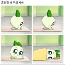 타워짐피트니스헬스 이미지
