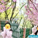 신복초등학교 이미지