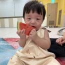 감성톡톡 자연물 놀이 | 너무 만족스러운 성남이마트문센 / 프리미엄 자연물 감성놀이 까르까르 / 9개월아기 솔직후기