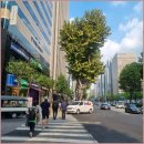 타워공인중개사사무소 | 강남 선릉·역삼 상권 핵심! ‘강남우리공인중개사사무소’ 솔직 후기