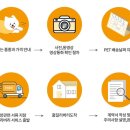 광주강아지분양고양이분양도로시펫