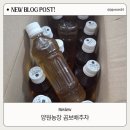 대신농장 | 물대신 먹는 양원농장 양원프레쉬 곰보배추차 후기
