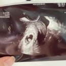 미사라엠 산부인과의원
