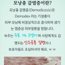 🏜존경하는 진중권 박사님께서 🦊유해동물 길'고양이 의 유해성과 윤리적 측면을 설명해 주시면 대단히 감사합니다. 이미지