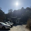 약닭 | 대전 양사싯골 선양 회장님도 다녀간 곳