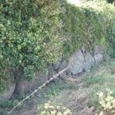 고산이랑1 이미지