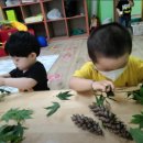 건강한새싹어린이집 이미지