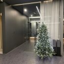 11260-2-37-16 | 필라테스 일리 송파위례점 임산부 필라테스 1:1 내돈내산 후기 (임신16주~37주)