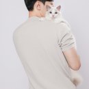 랙돌캐터리 아이돌스 전주고양이분양 | 랙돌분양 아이돌스 랙돌 캐터리 귀여움이 한도 초과