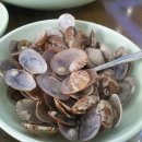 천수만바지락칼국수