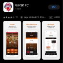 제주유나이티드 (제주 SK FC) 개막전 관람후기 티켓구매 간략정리
