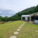 금낭화타운 이미지