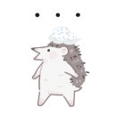 스니피드 이미지