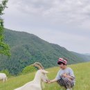 보시반 이지훈의 연휴 캠핑이야기🍃🍃 이미지