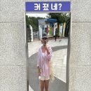 (주)묵호택시 이미지