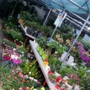 가람농원 이미지