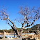 바람도리 이미지