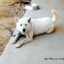 경주남산한의원 이미지