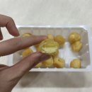홈런볼 | 홈런볼 신상 솔직 후기 말차딸기 vs 메론우유 솔직 비교