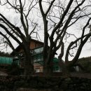 조비마을회관 이미지