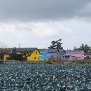 제주애 펜션 | 제주도 가족여행) 독채 풀빌라 펜션 제주애 물들다