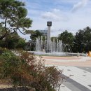 경북대학교 이미지