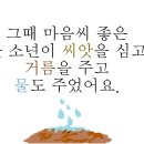 씨앗이야기