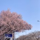 여의서로1길 이미지