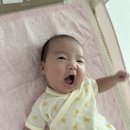 드림솔병원 | 신생아 필수템 리스트, 봄 출산 준비물 내돈내산 후기