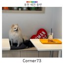 부흥로351번길 이미지