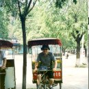 담뒤 Daum카페