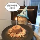 신도림동 라마다 호텔 | 신도림 라마다호텔 이코노미룸 후기(+챙겨가야 할 것들)