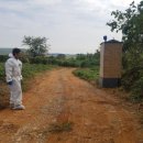 화성양돈 이미지