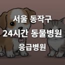 굿파파 24시 반려동물건강검진센터 | [서울 동작구 24시간 동물병원(상도1동, 사당동)] 반려동물 응급상황 대처 가능한 진료소