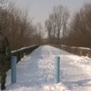 에스비에스(202) 이미지