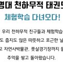 계명대 천하무적 태권도장 이미지