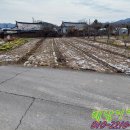 해남터널~송운교차로 이미지