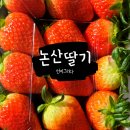 선지농장 이미지