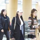 프리미엄멀티샵 이미지