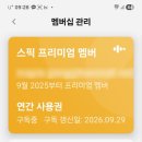 (주)미루플러스 | 스픽 내돈내산 후기! 1년 한달 가격 할인코드 공유해드려요