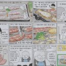 최네집 이미지