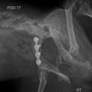 단비동물병원 이미지