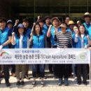 춤새마을 이미지