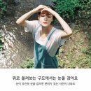 하루스냅
