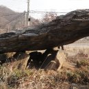 연천양원리고인돌 이미지