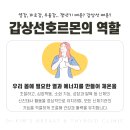 김수연유의원 | 별내갑상선 :: 열감, 피로감, 우울감.. 갱년기 때문? 갑상선 때문?