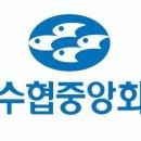 46 이미지