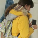 디디디아이 이미지