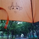 클로버한의원 이미지